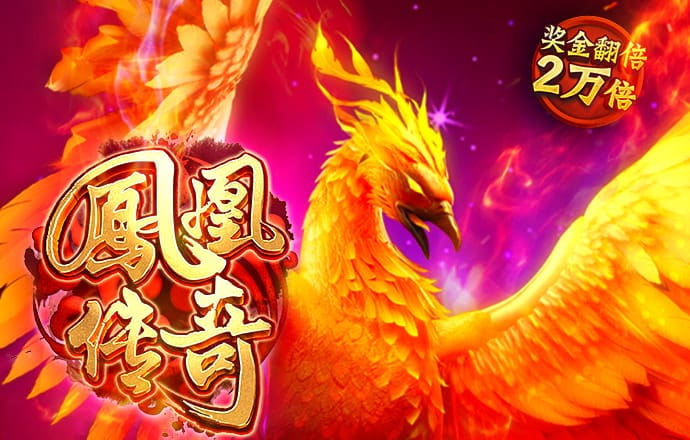大发彩票手机官网登录